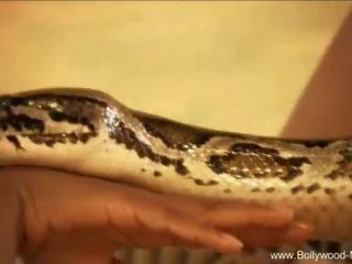 Bollywood dan yang menawan ular